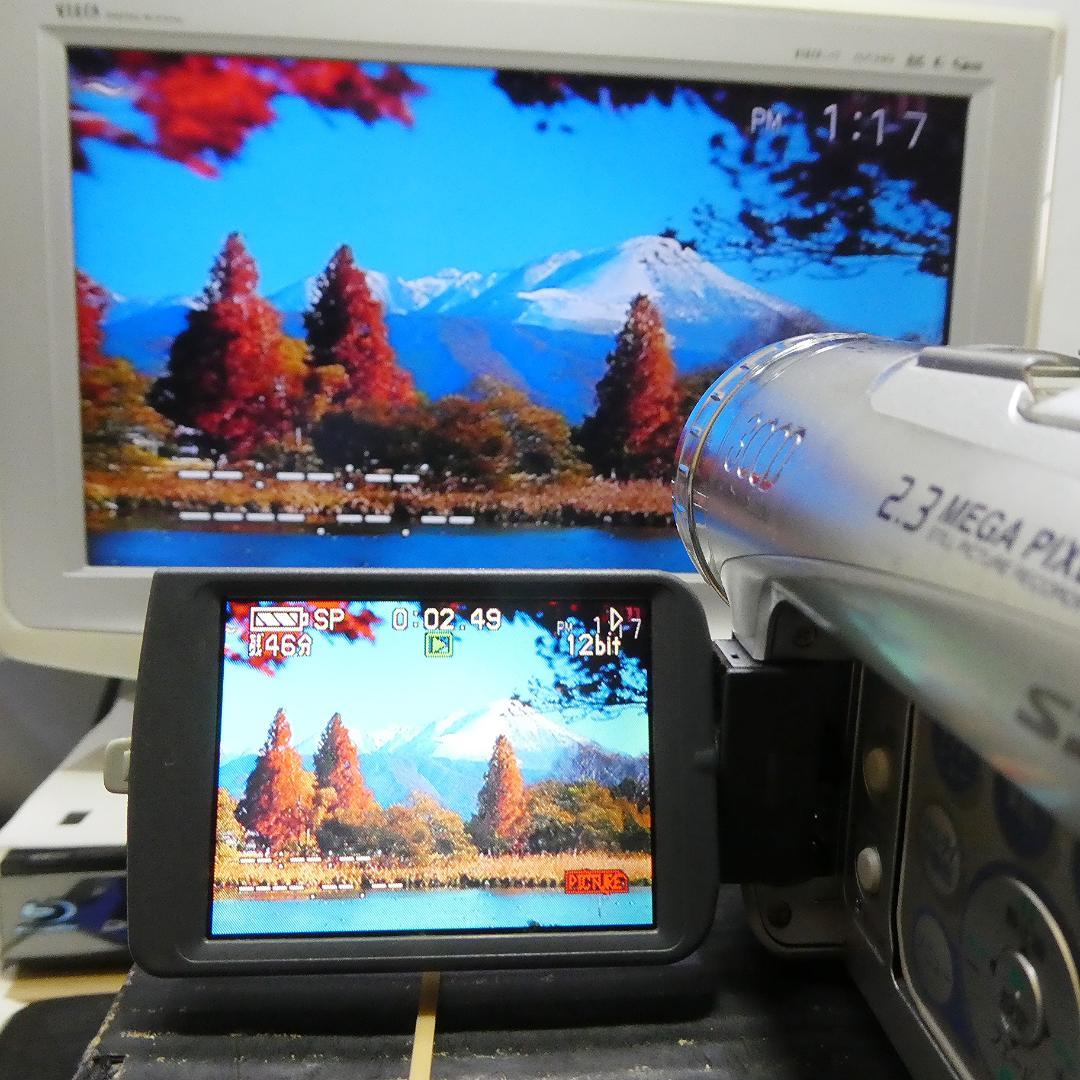 動作良好 パナソニック NV-GS200 MiniDVビデオDVDダビングに最適