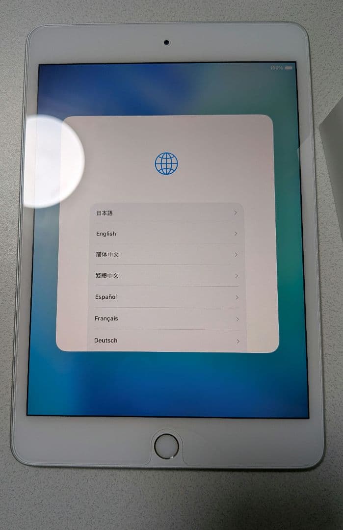 iPad mini 第5世代 64GB Wi-Fiモデル 動作確認済