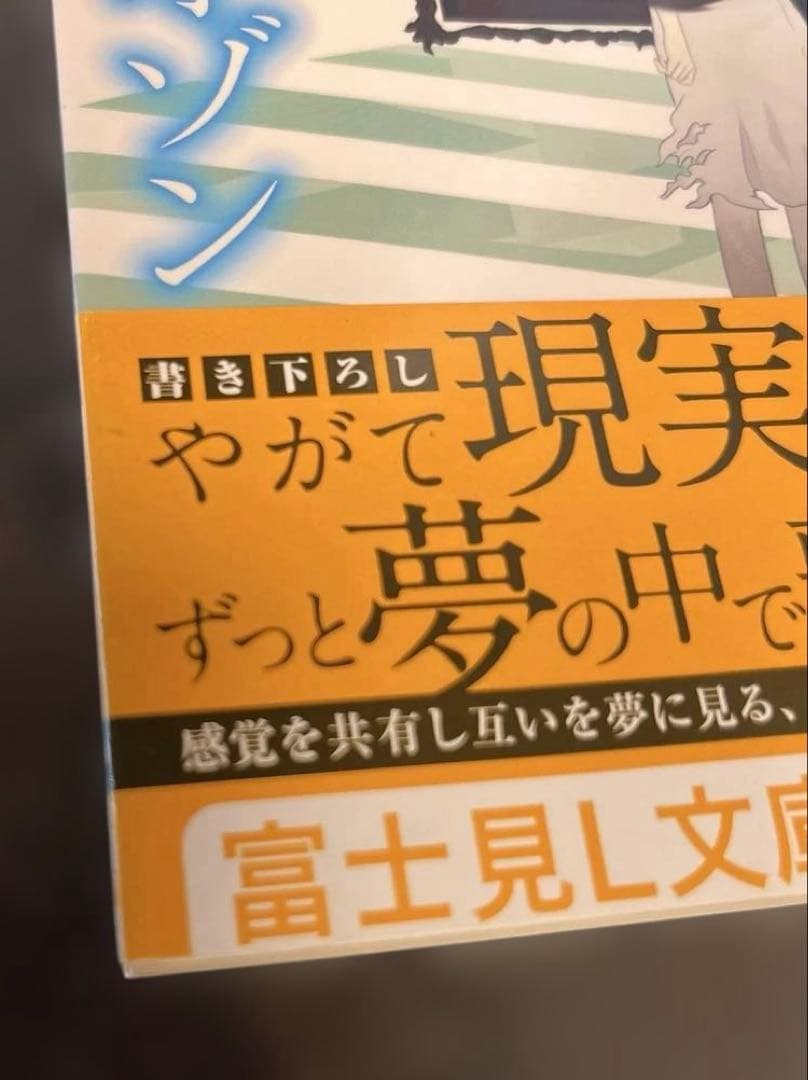 つめたいオゾン 唐辺葉介 初版 帯付き