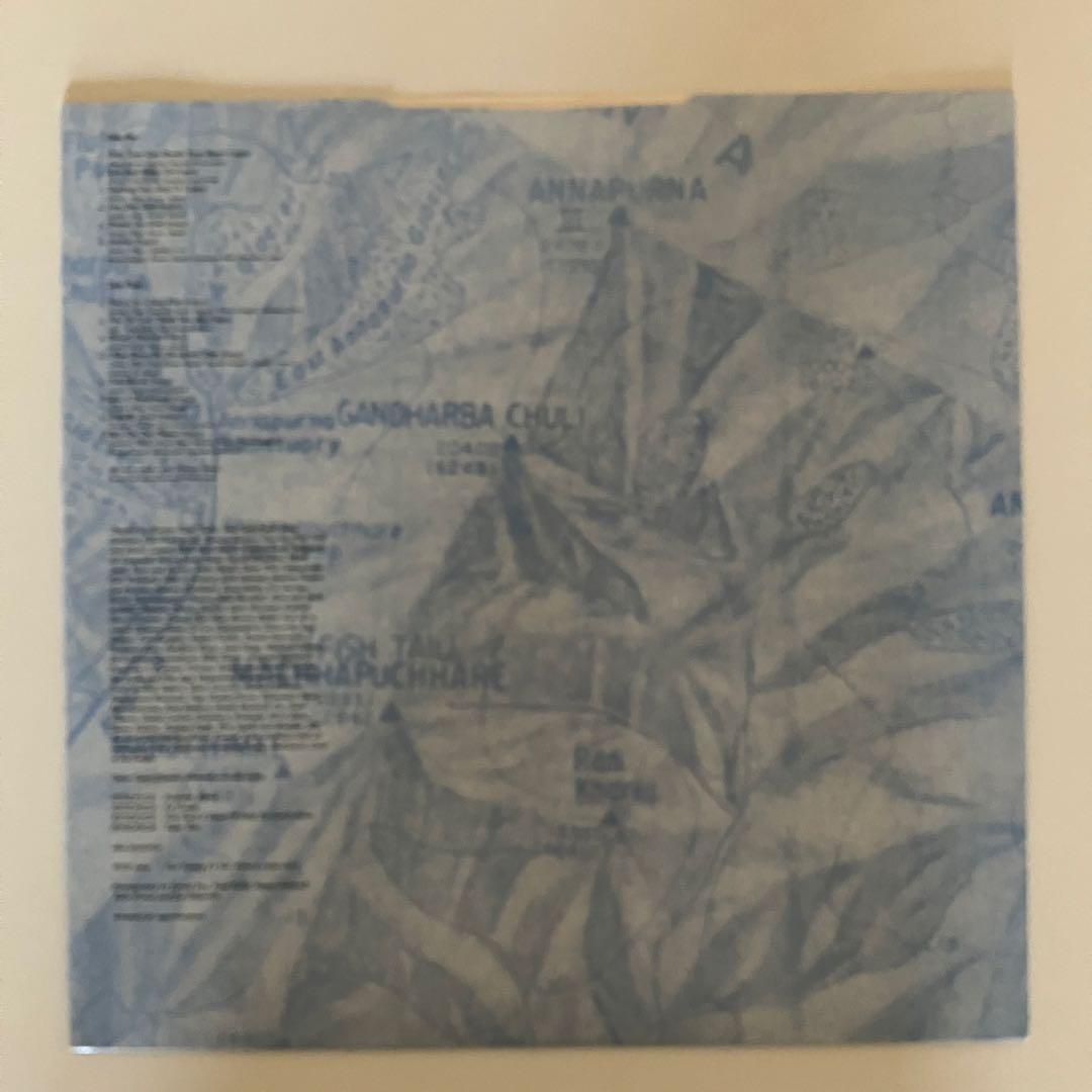 Saint Etienne 　Too Young To Die レコード