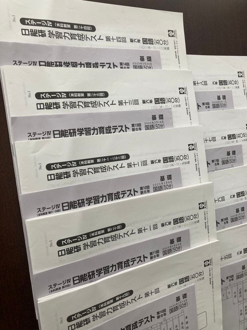 2025年　日能研　学習力育成テスト　6年　前期　全17回分　中学受験