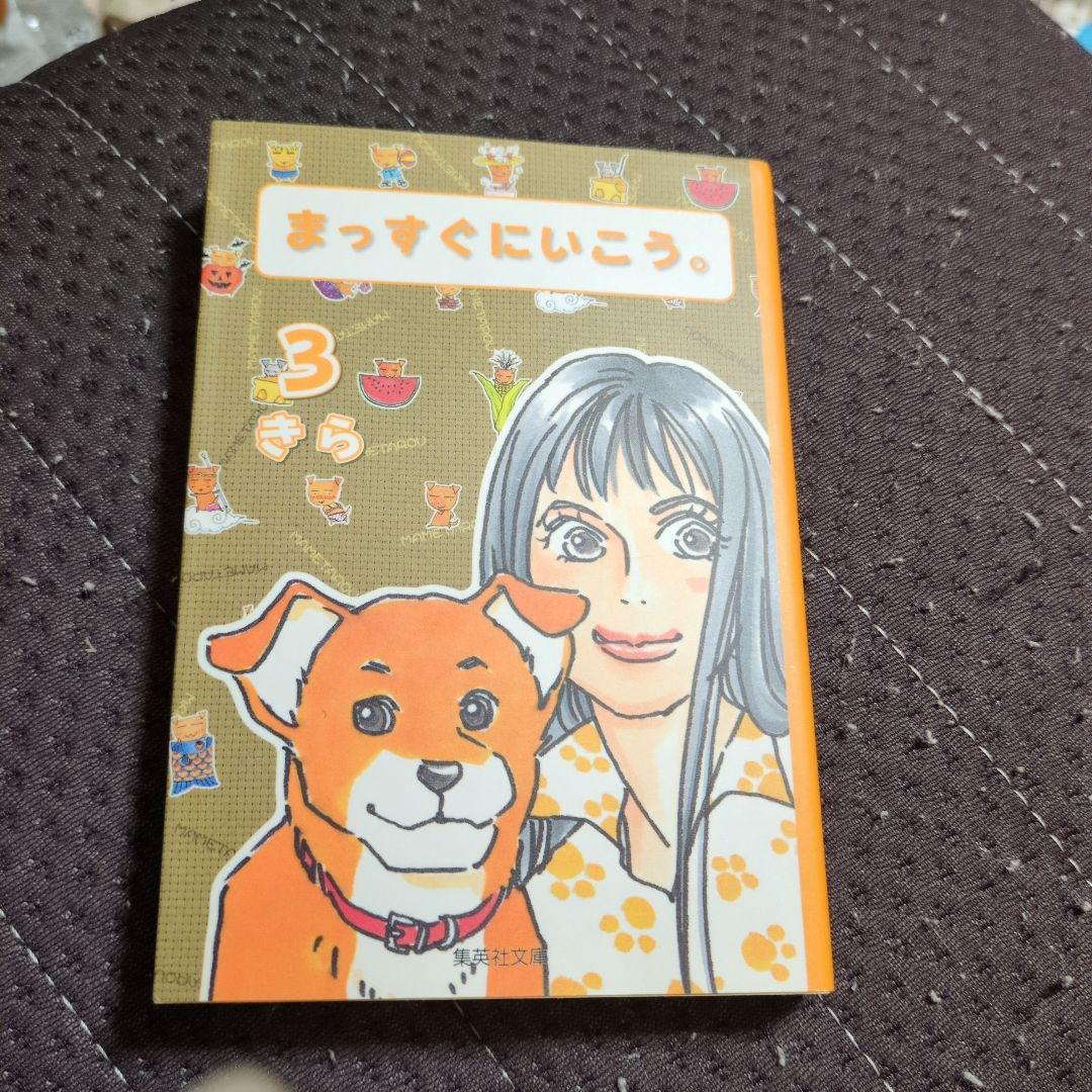 まっすぐにいこう 文庫版全巻セット