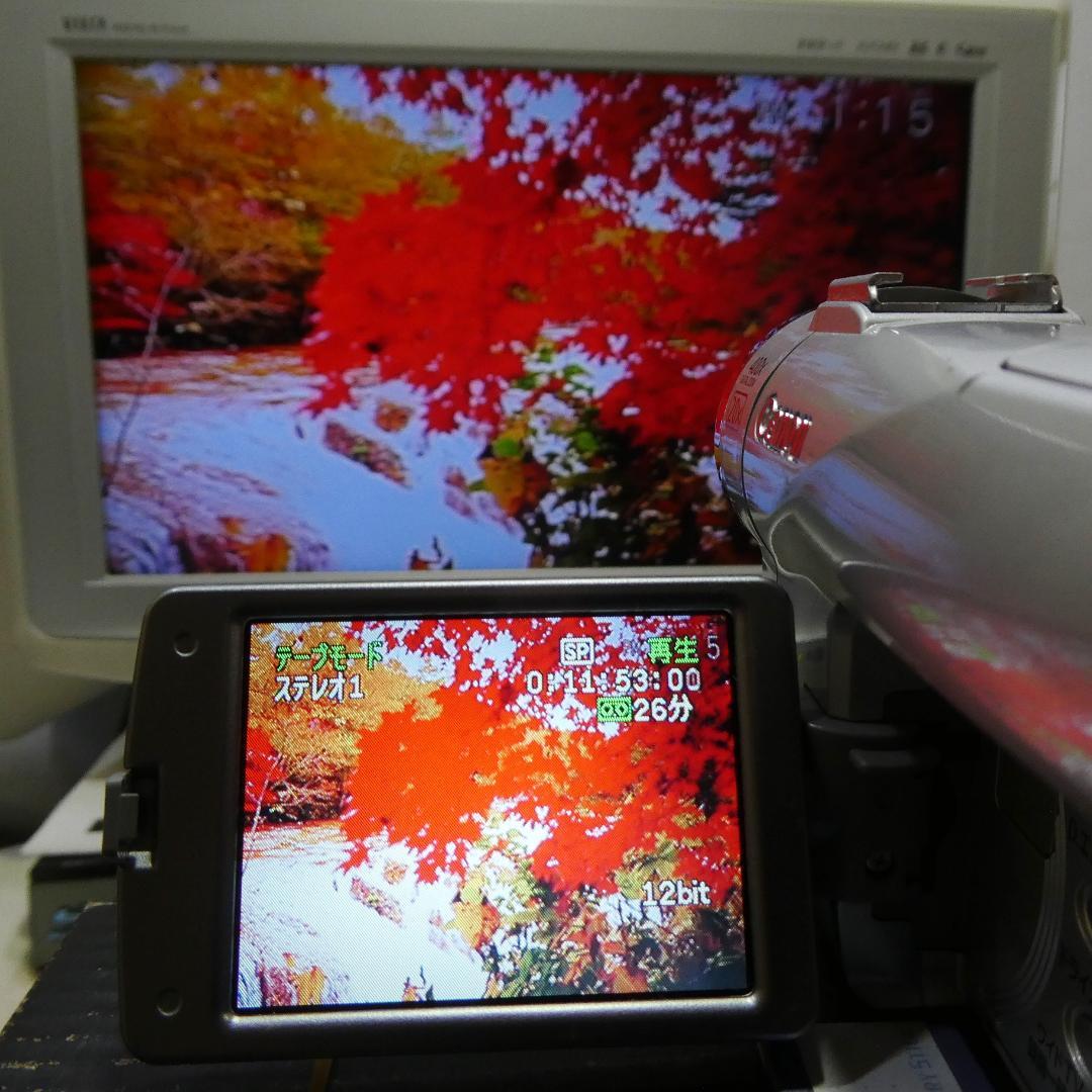 動作良好 キャノン DM-FV M200 MiniDVビデオ DVDダビングに