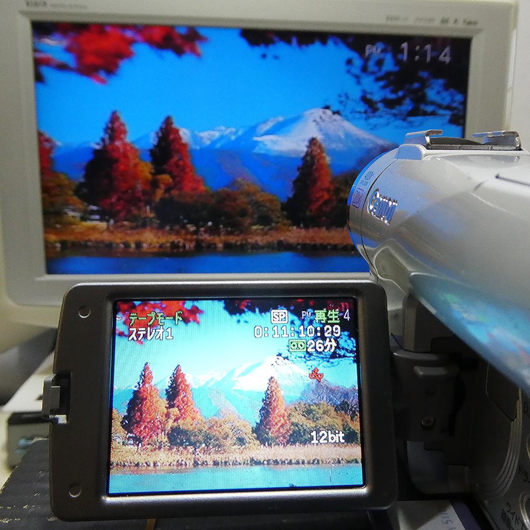 動作良好 キャノン DM-FV M200 MiniDVビデオ DVDダビングに