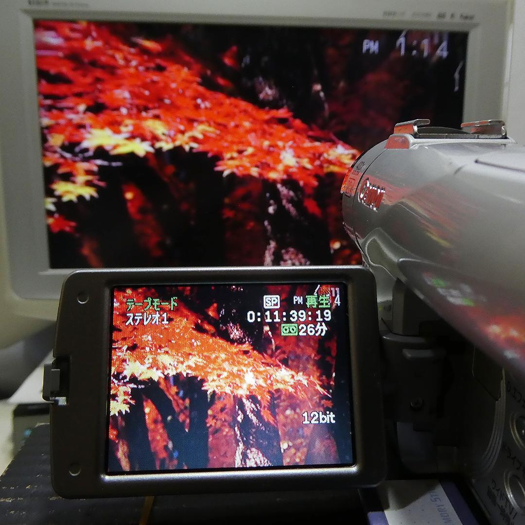 動作良好 キャノン DM-FV M200 MiniDVビデオ DVDダビングに