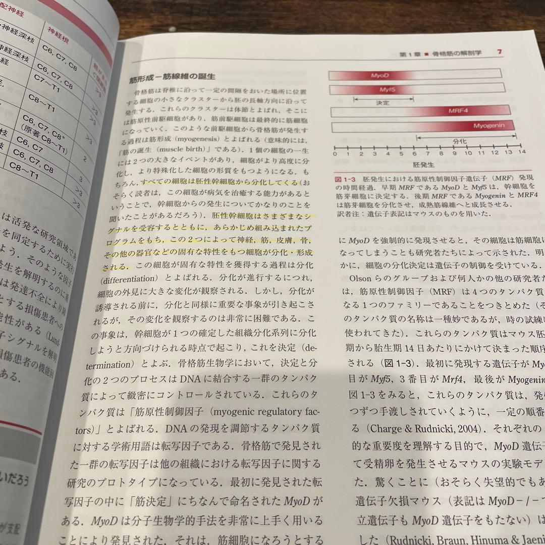 骨格筋の構造・機能と可塑性
