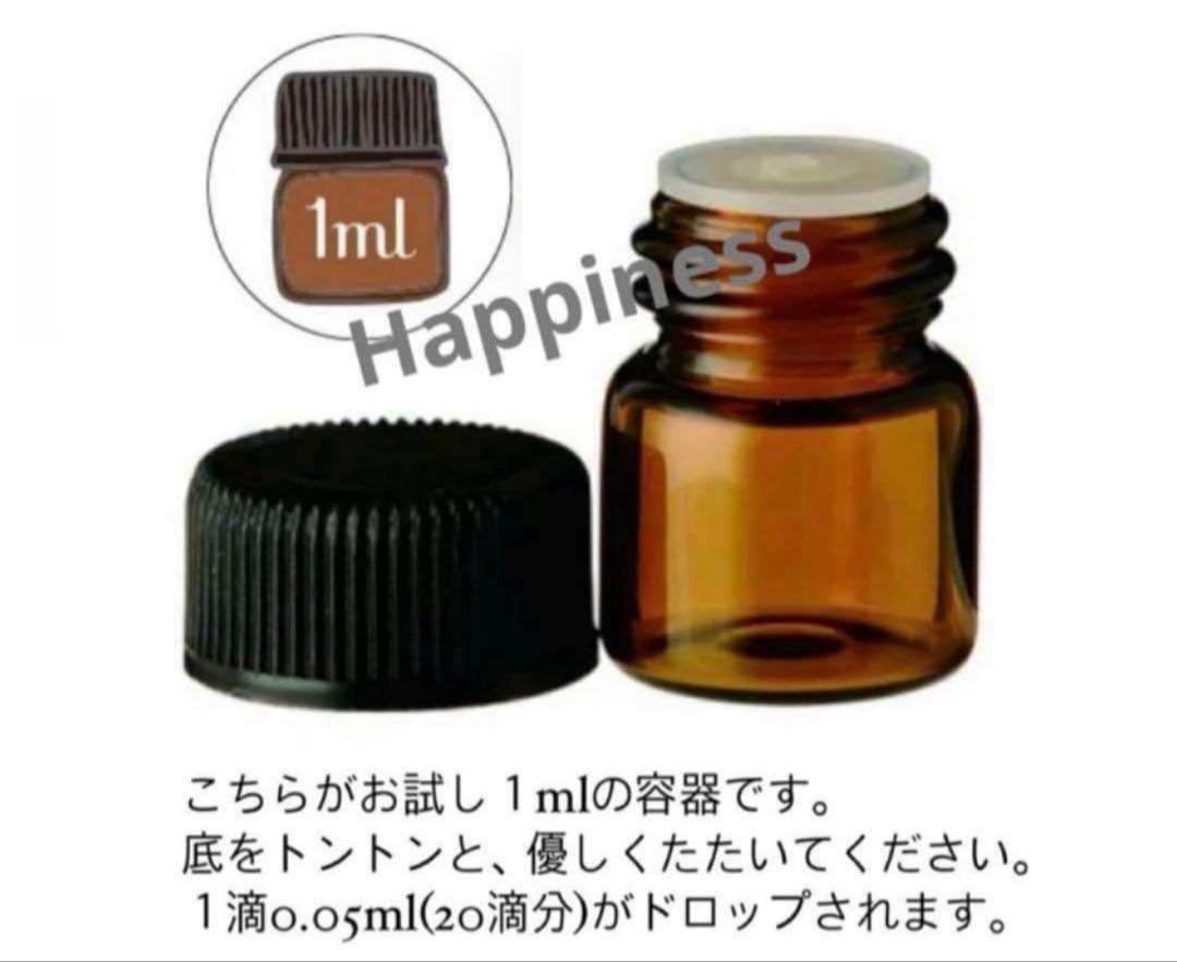 seo.kページ