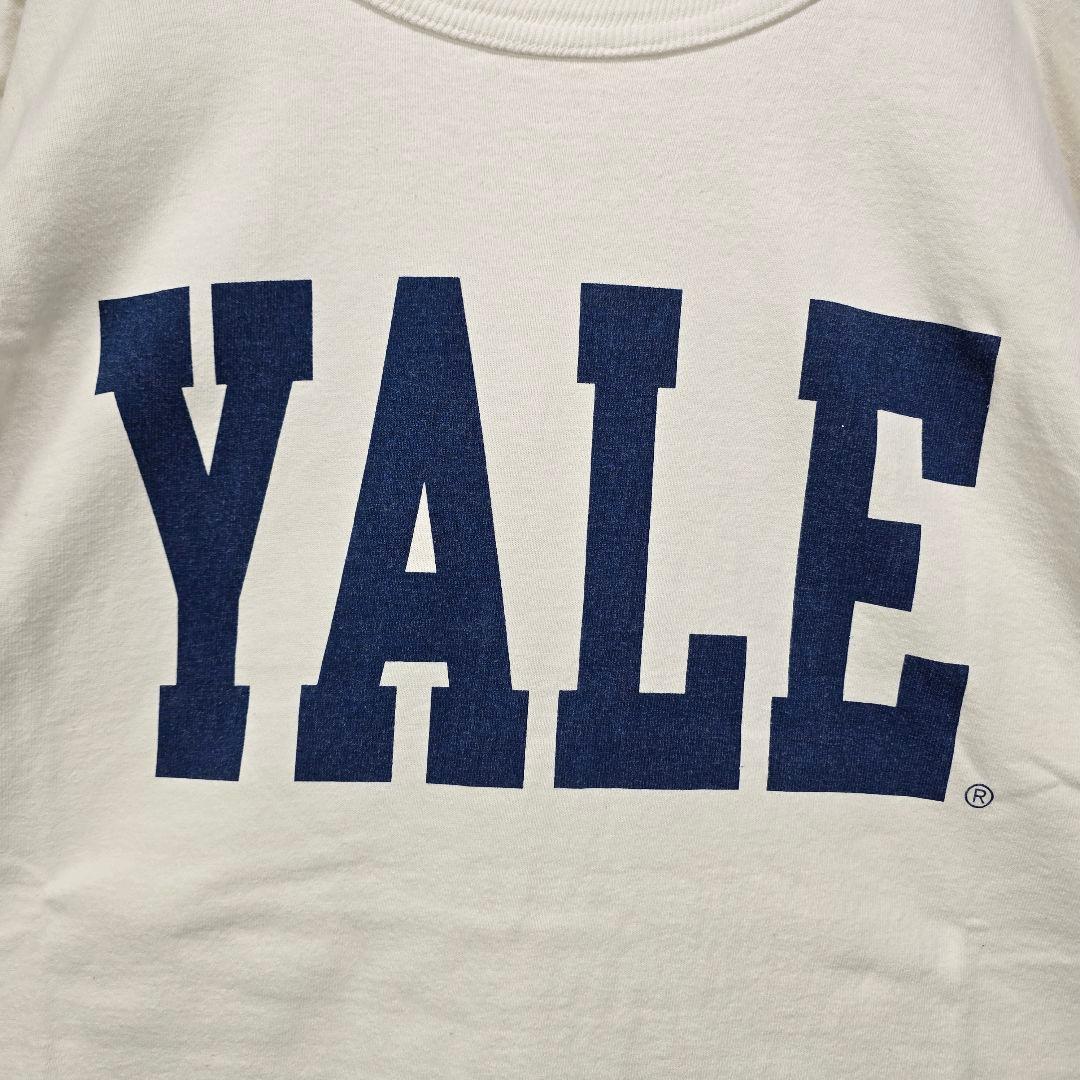Champion　USA製　イェール大学　Tシャツ　L　厚手　リユース　古着