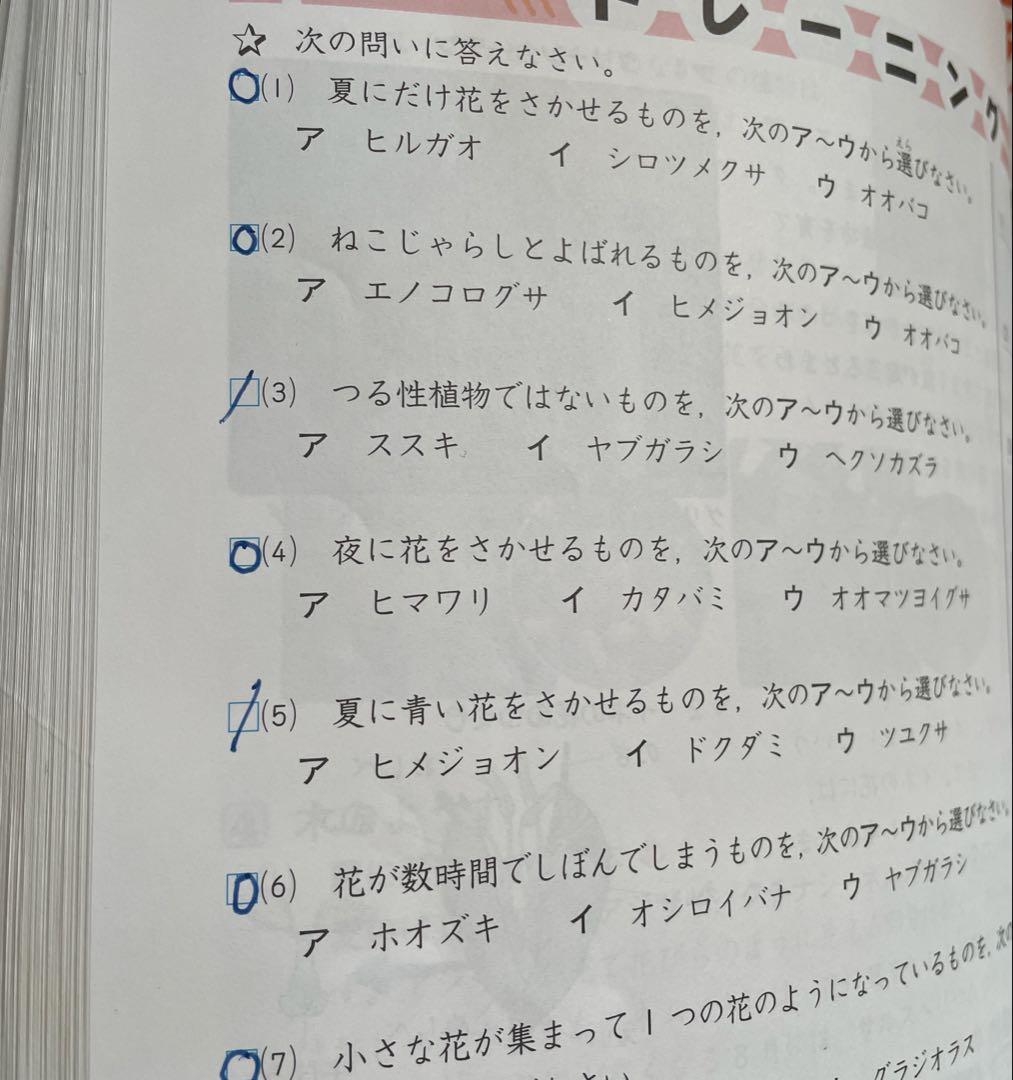 中学受験 新演習 理科 小4上下 小5上下