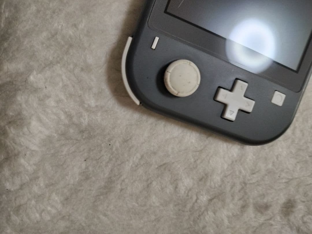 ジャンクNintendo Switch Lite グレー 本体
