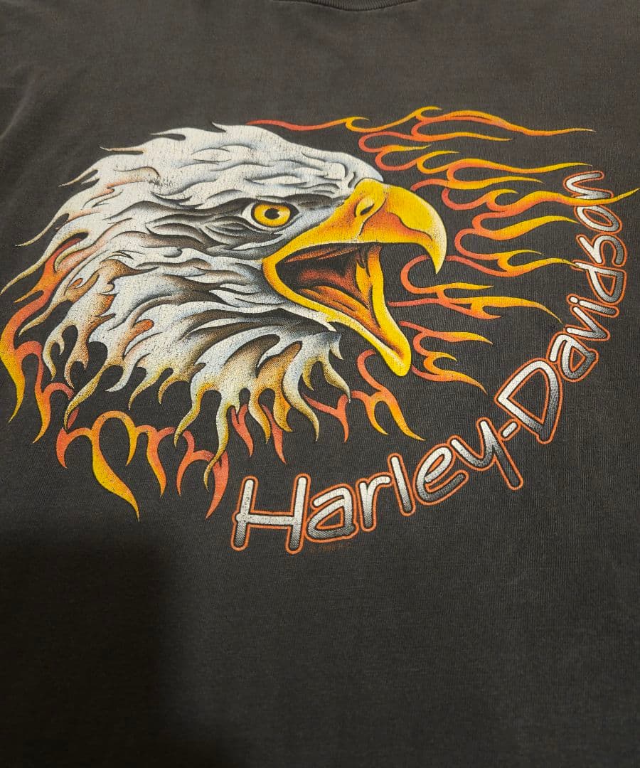 Harley Davidson 90s ヴィンテージ ハーレー　ロンT