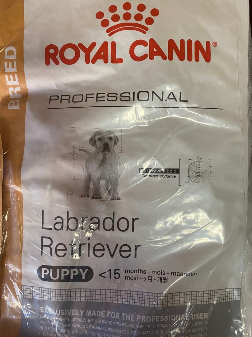 やっち