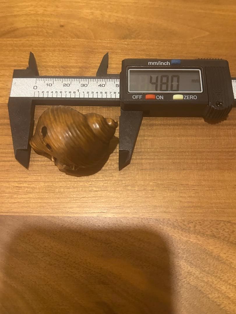 木彫　貝にかえる　根付　骨董品