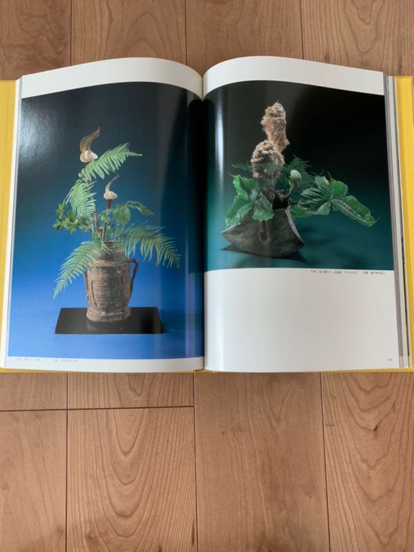 美品 小原流  小原豊雲作品集