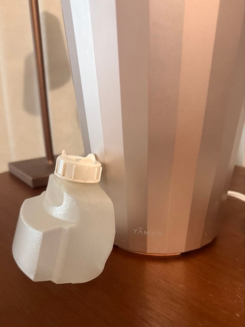 YA-MAN ヤーマン フォトスチーマー IS-100 美顔器