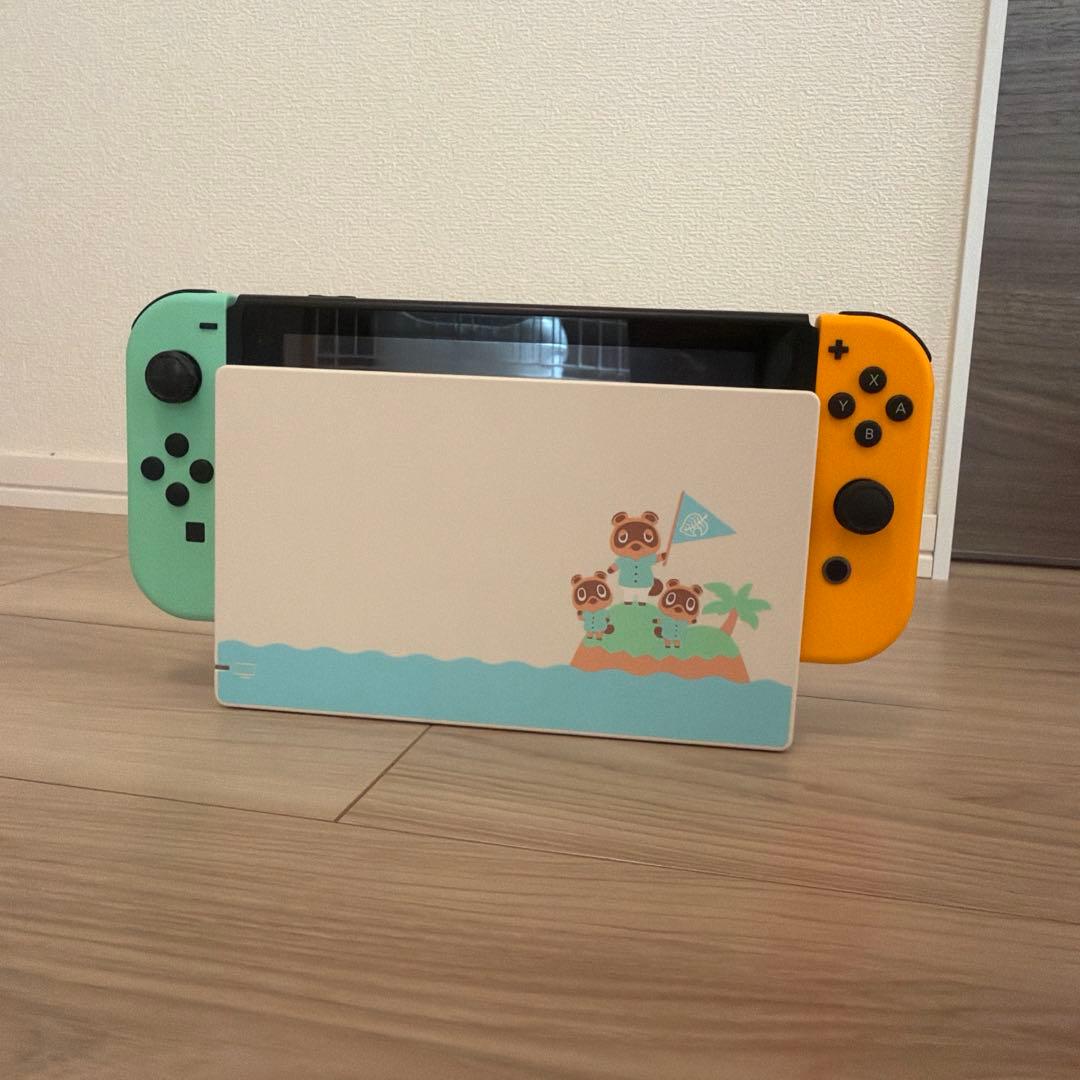 Nintendo Switch あつまれ どうぶつの森デザイン　ケース付き