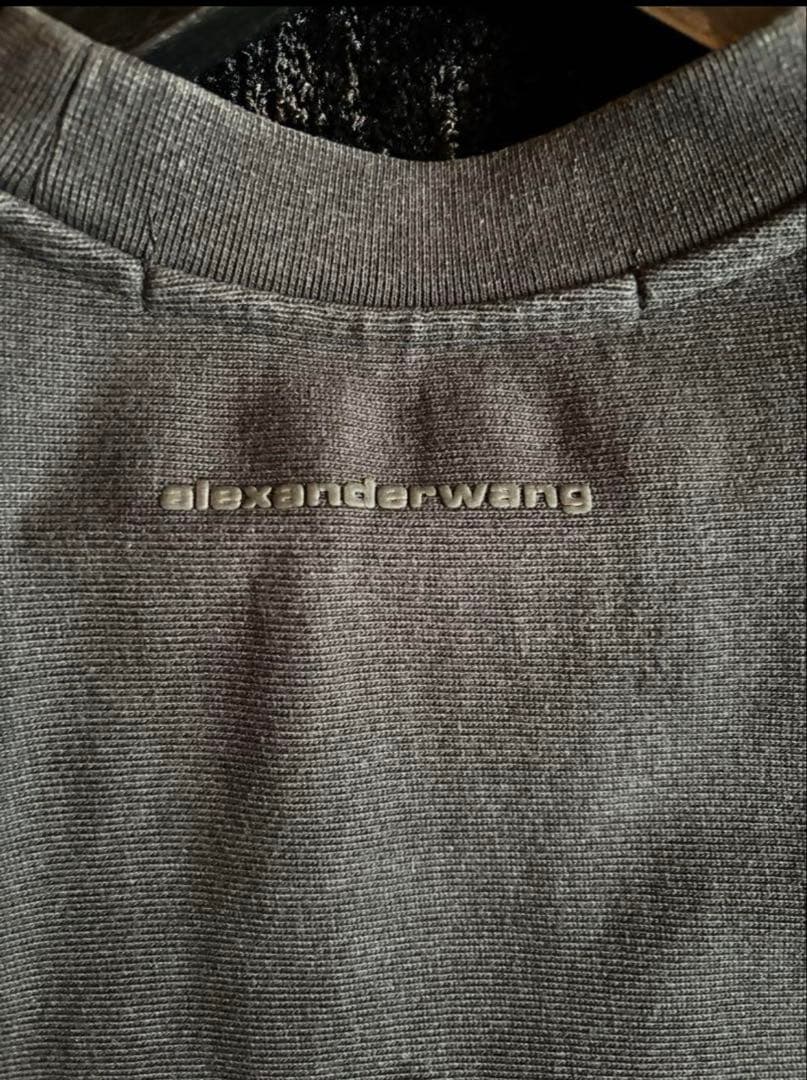 Alexander Wang アレキサンダーワン Beefy Tee 登坂