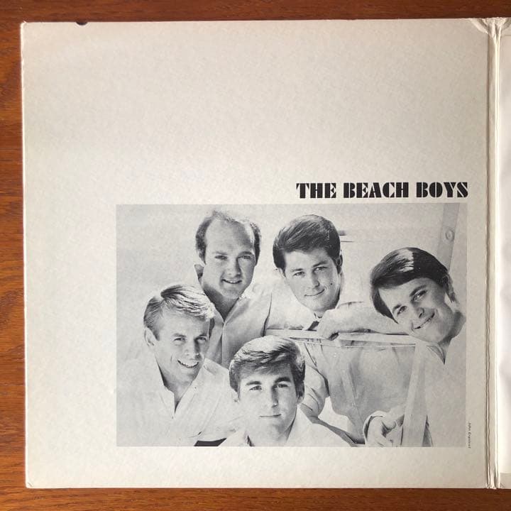 ビーチ・ボーイズ Beach Boys【米オリジナル盤初期・MONO・稀少】⑧