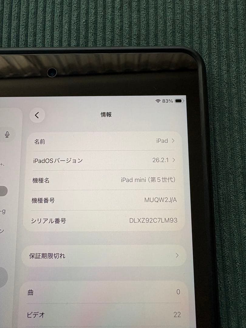 バッテリー95%【iPad mini 5世代 64GB WiFi】充放電164回