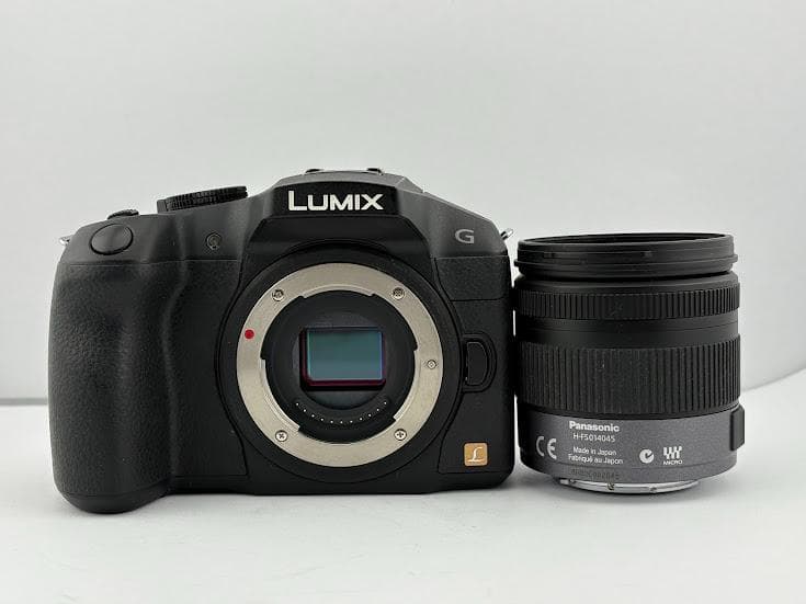 ★極上美品★パナソニックPanasonic LUMIX DMC-G6レンズキット