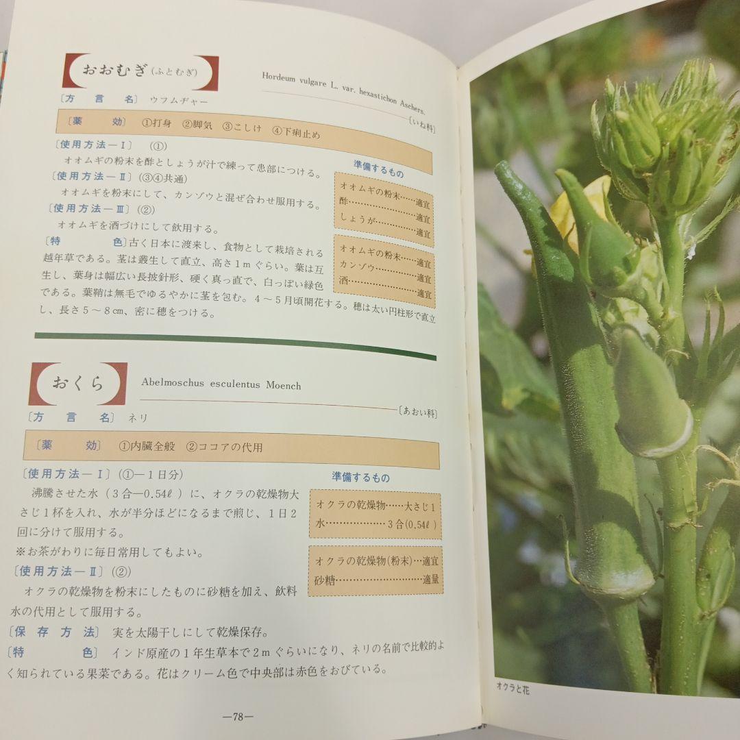 おきなわの薬草百科 多和田真淳　オマケ付き