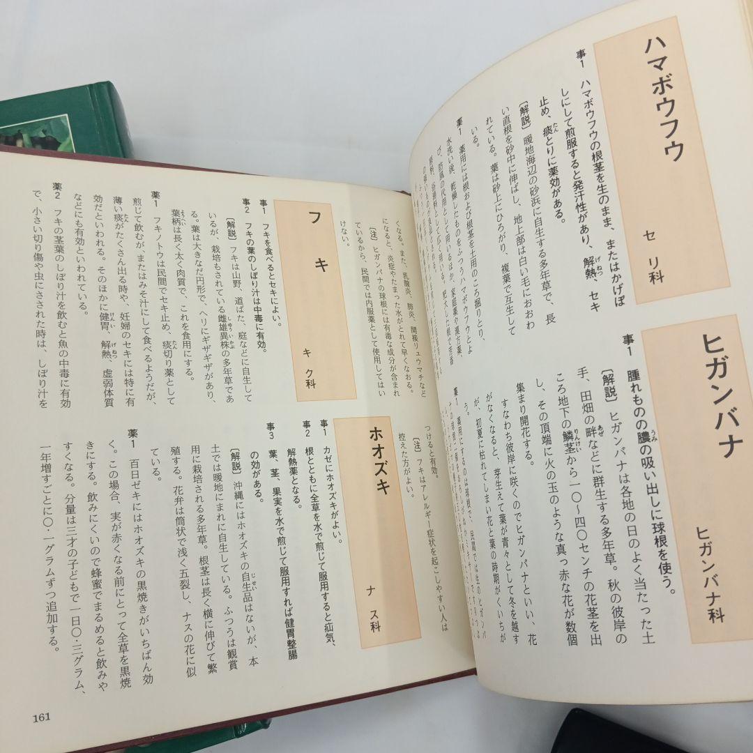 おきなわの薬草百科 多和田真淳　オマケ付き