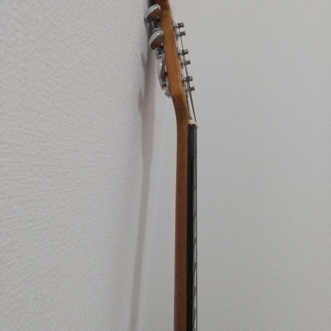 カ*ケ様 Alegre（FG-NARRA） アコースティックギター ハードケース