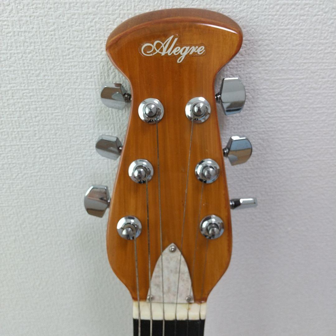 カ*ケ様 Alegre（FG-NARRA） アコースティックギター ハードケース