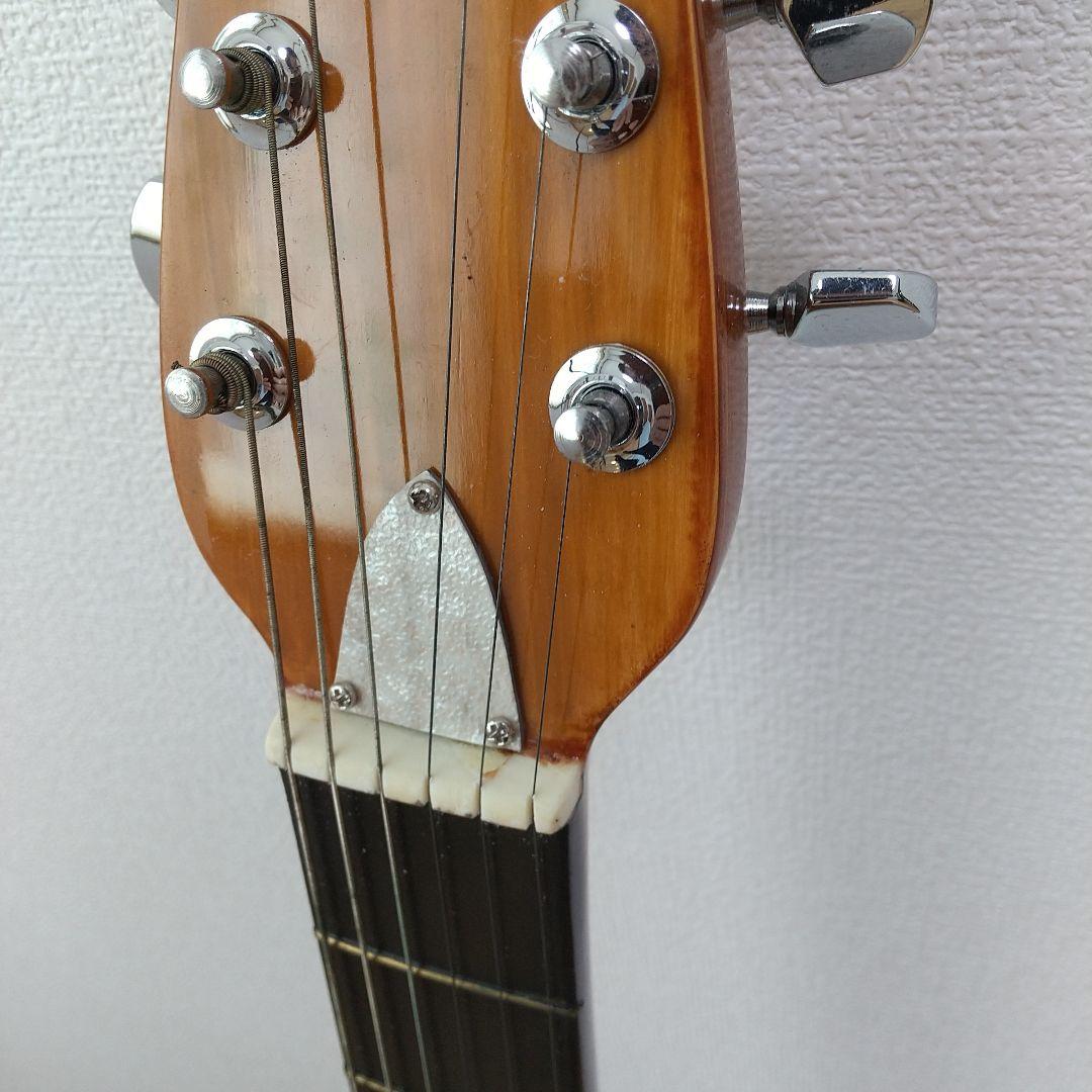 カ*ケ様 Alegre（FG-NARRA） アコースティックギター ハードケース