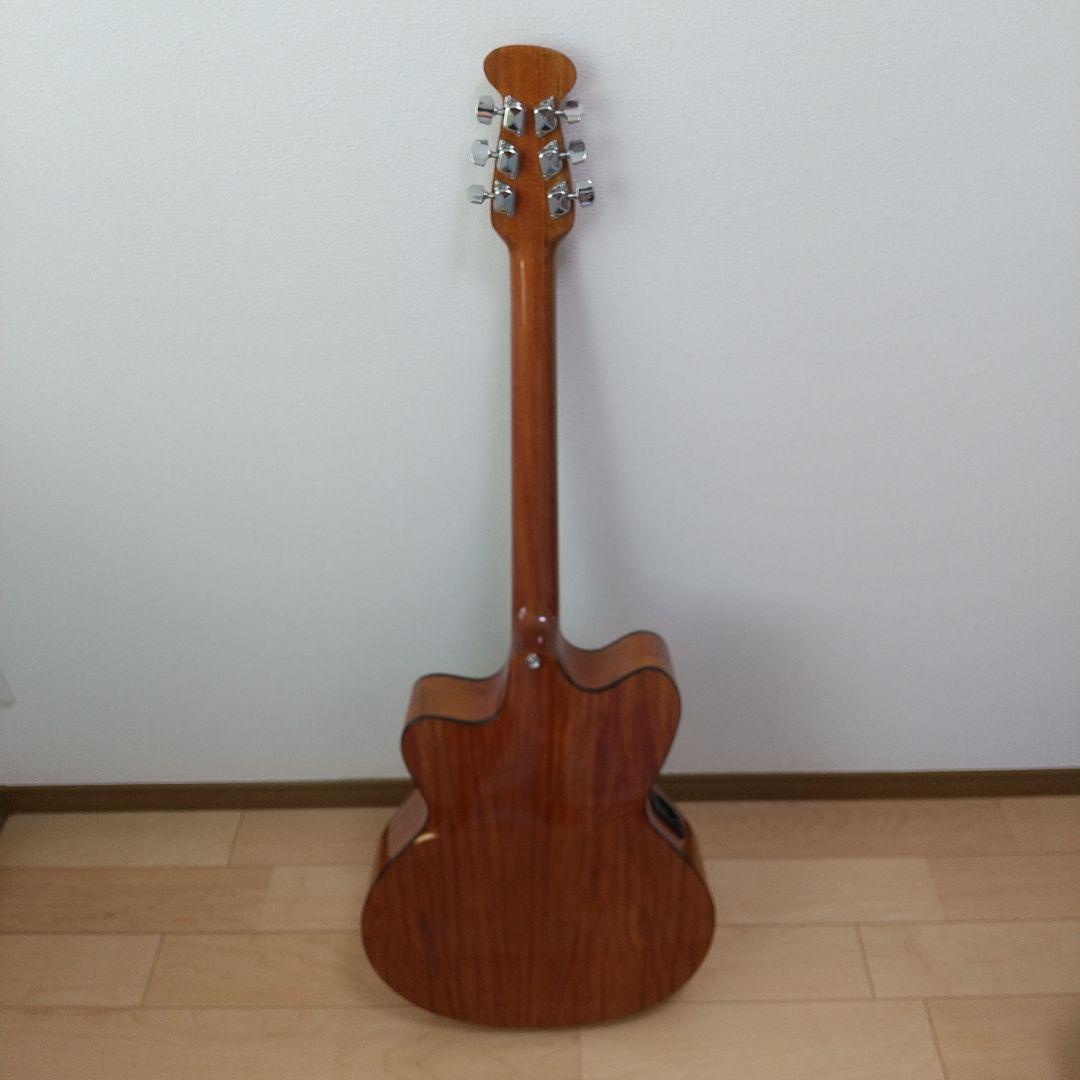 カ*ケ様 Alegre（FG-NARRA） アコースティックギター ハードケース
