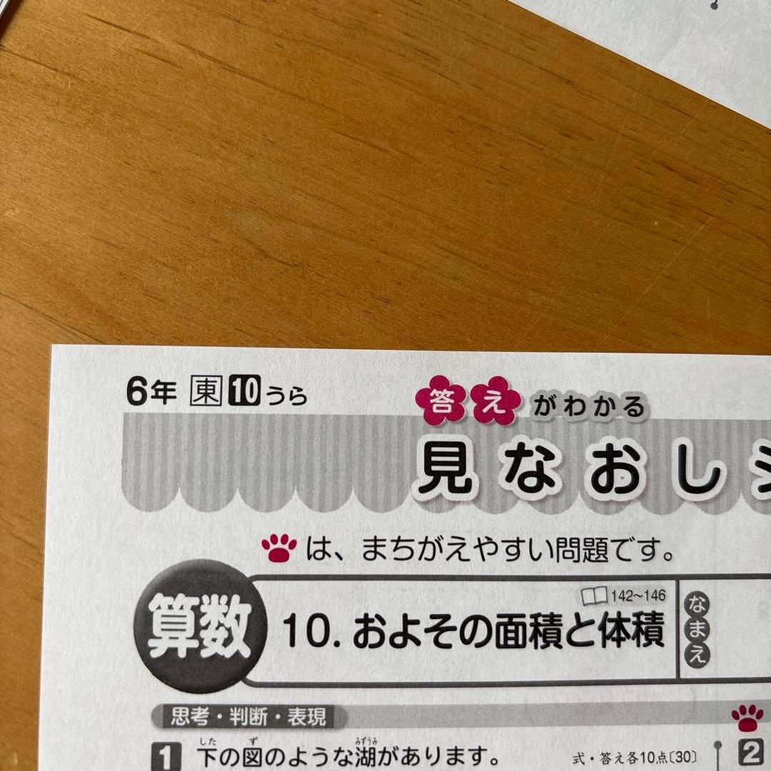 ⑤小学6年生　算数テストの見なおしシート　17枚