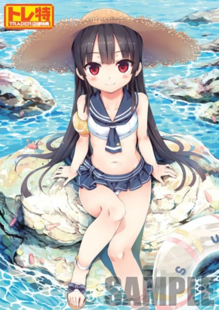 まいてつ -pure station- コレクターズエディション　ソフト本体欠品