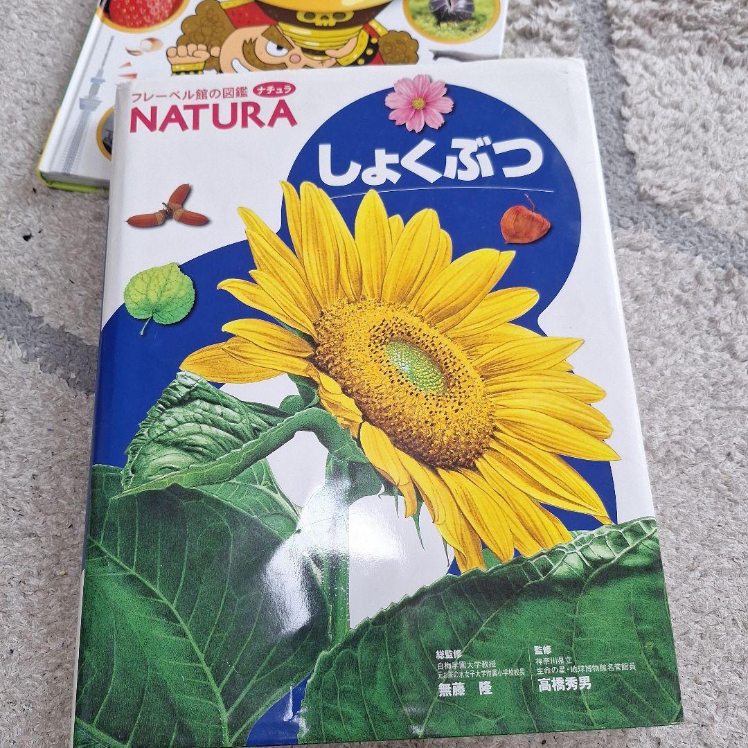 きせつの図鑑 等計6冊
