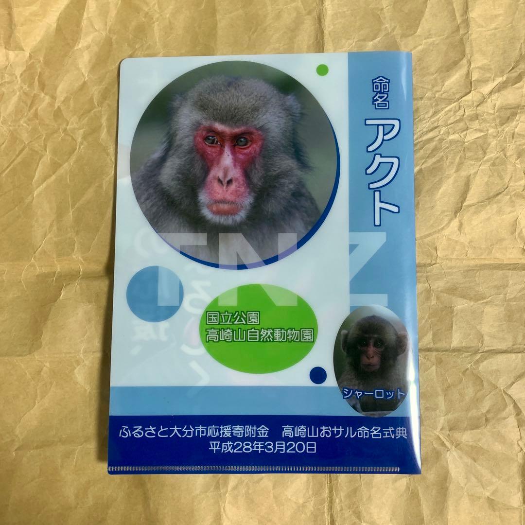 宮下あきら 大友宗麟 クリアファイル 大分市