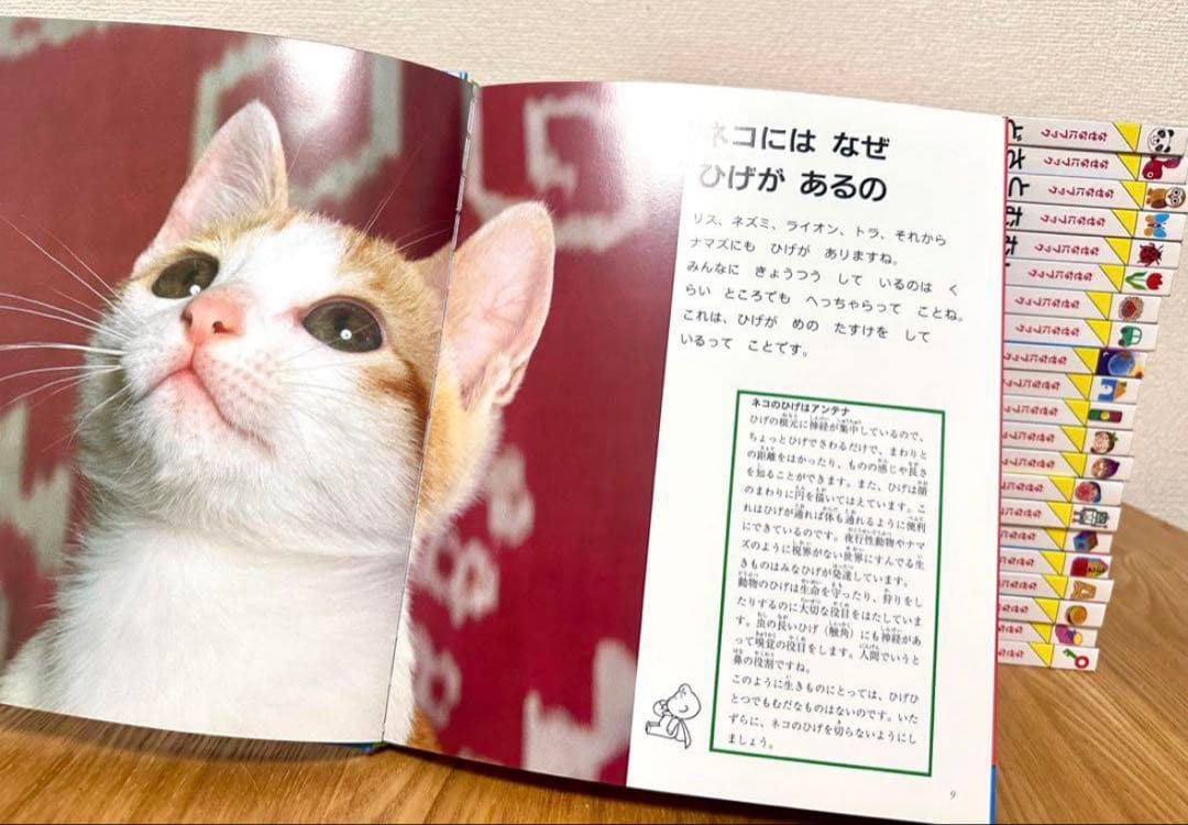 r*♡様 【新品未使用】全22冊セット　なぜなにブック　幼児教育 知育絵本
