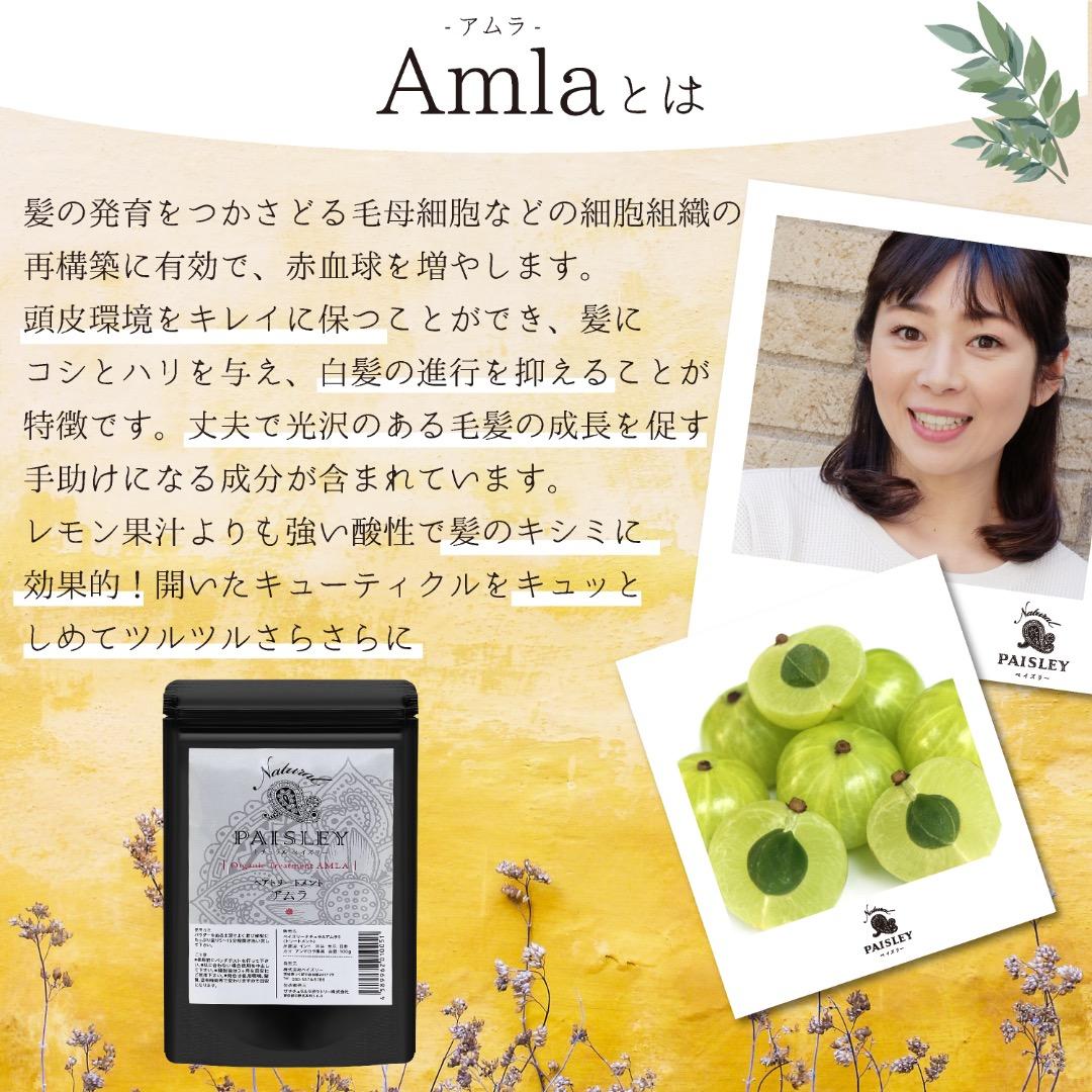 きらり品☆手触りが変わる！【ブラウン＆アムラ セット】３パック