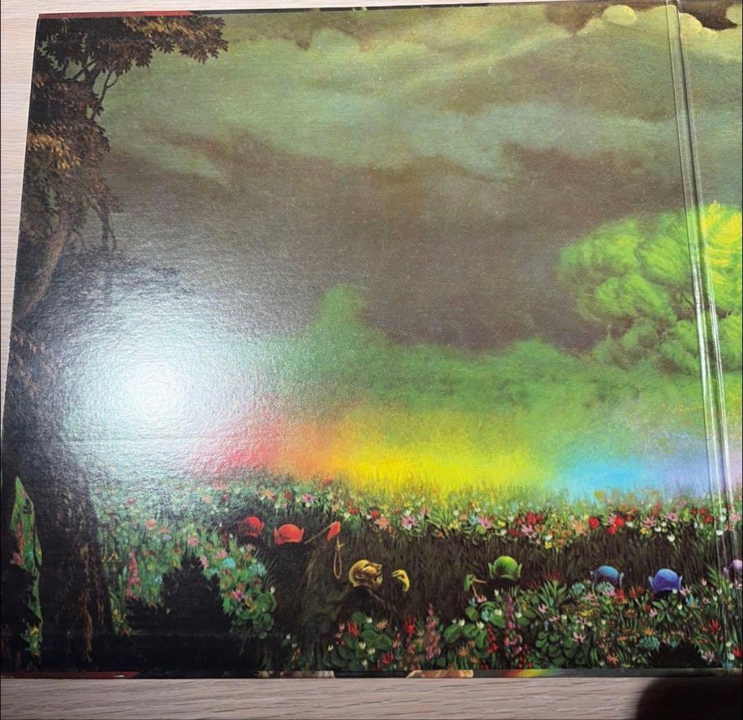 [レコード ] 高中正義　RAINBOW GOBLINS 2LP 虹伝説