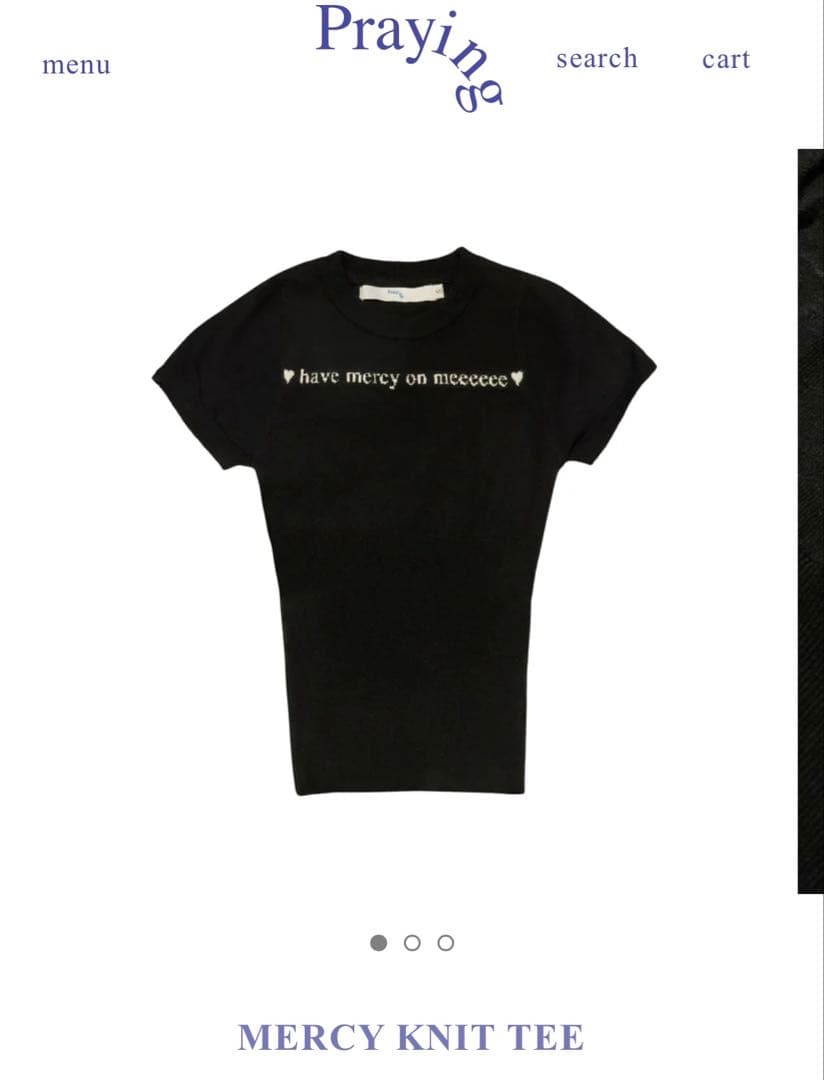 Praying 半袖ニットtシャツ　短丈　スウェット