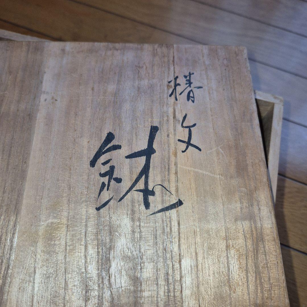 椿文 八角形花柄陶器皿 木箱付き