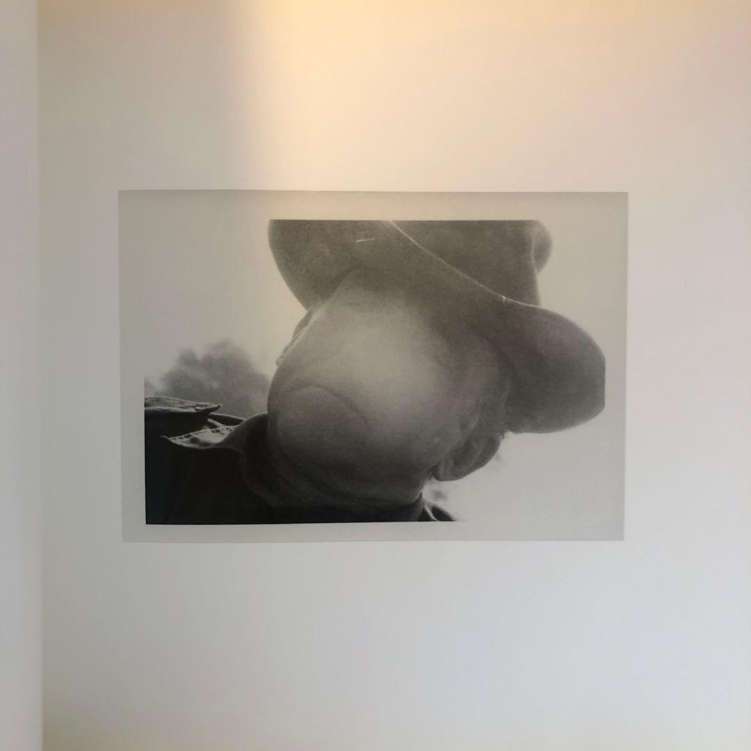 Dennis Hopper, Drugstore Camera (洋書)