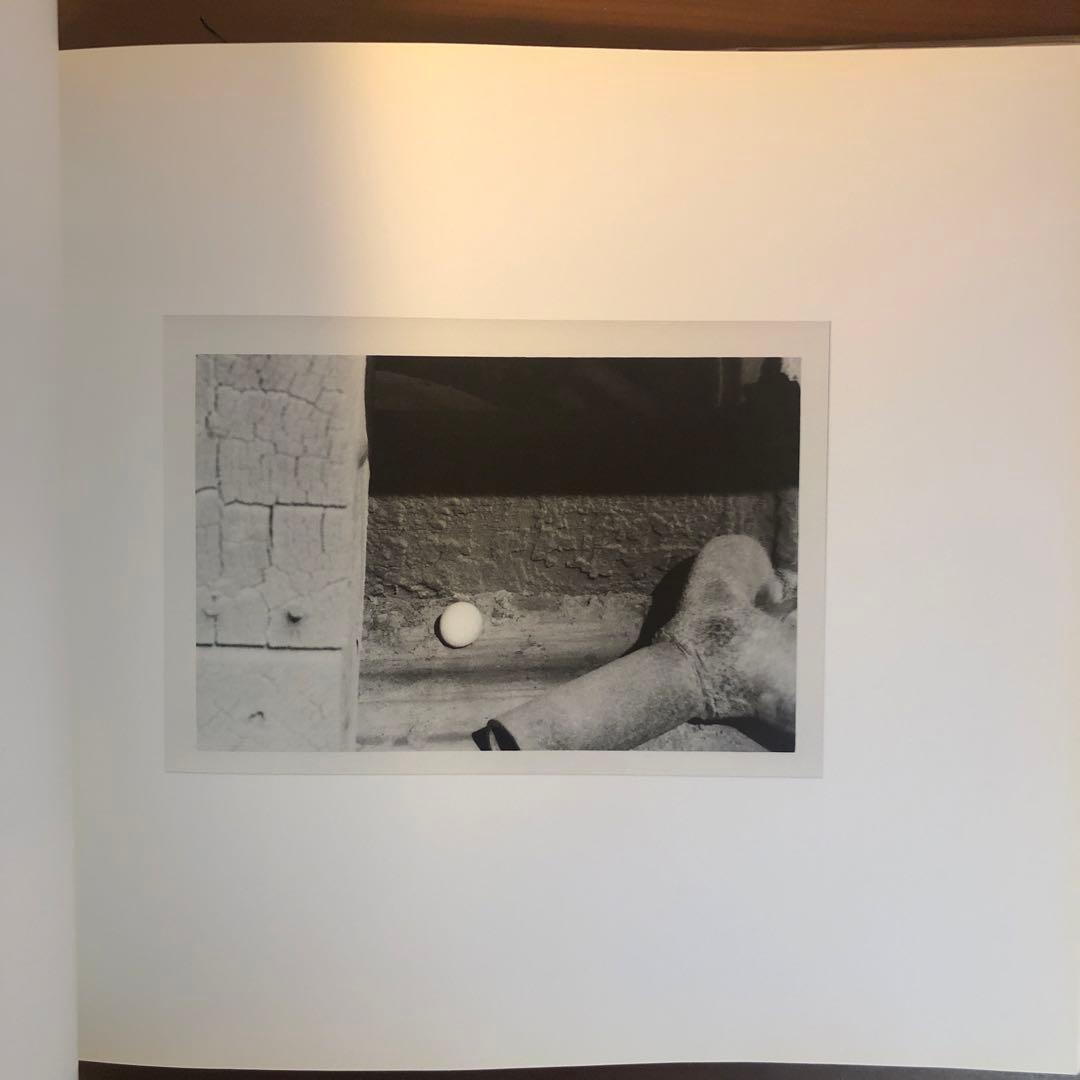 Dennis Hopper, Drugstore Camera (洋書)