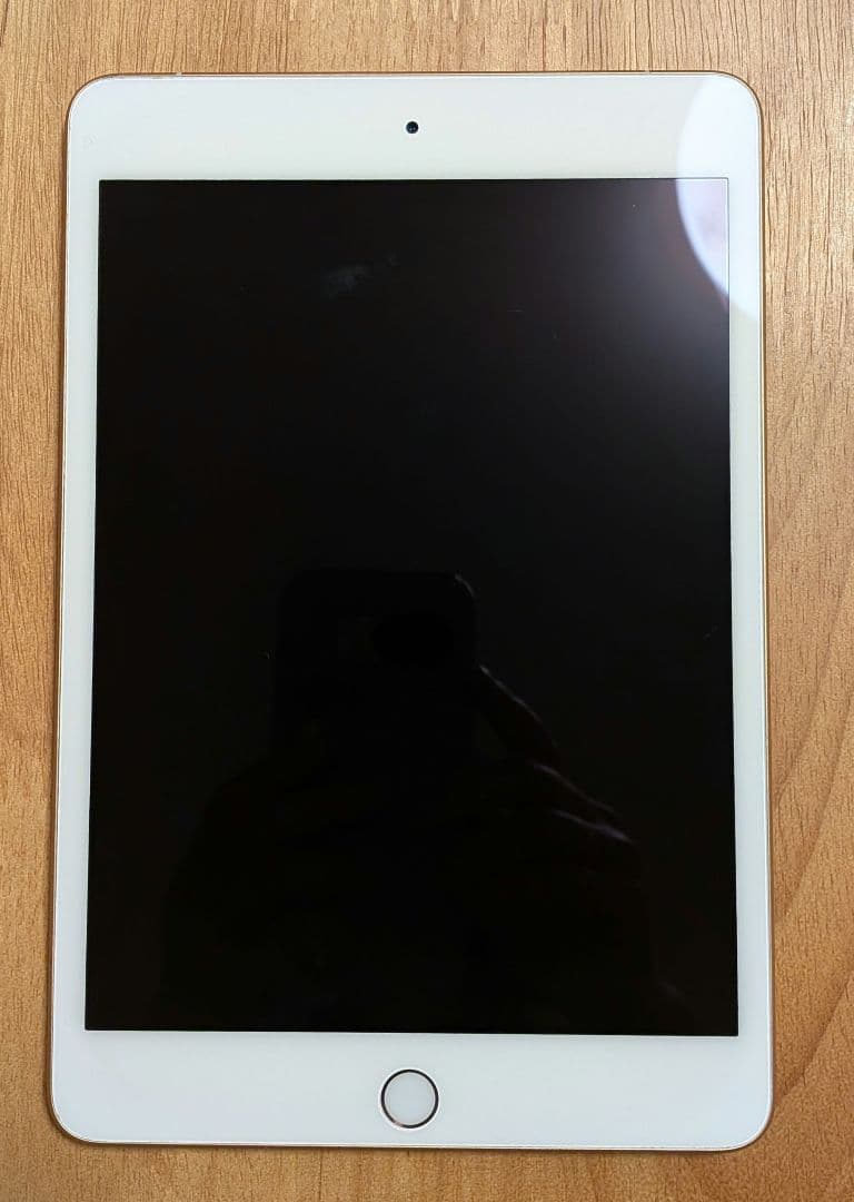 Apple iPadmini5世代64GB wi-fi/セルラーバッテリー84%