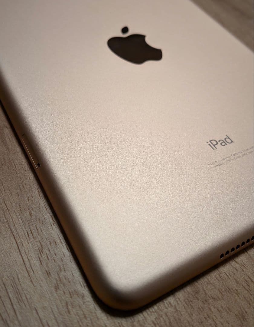 Apple iPadmini5世代64GB wi-fi/セルラーバッテリー84%