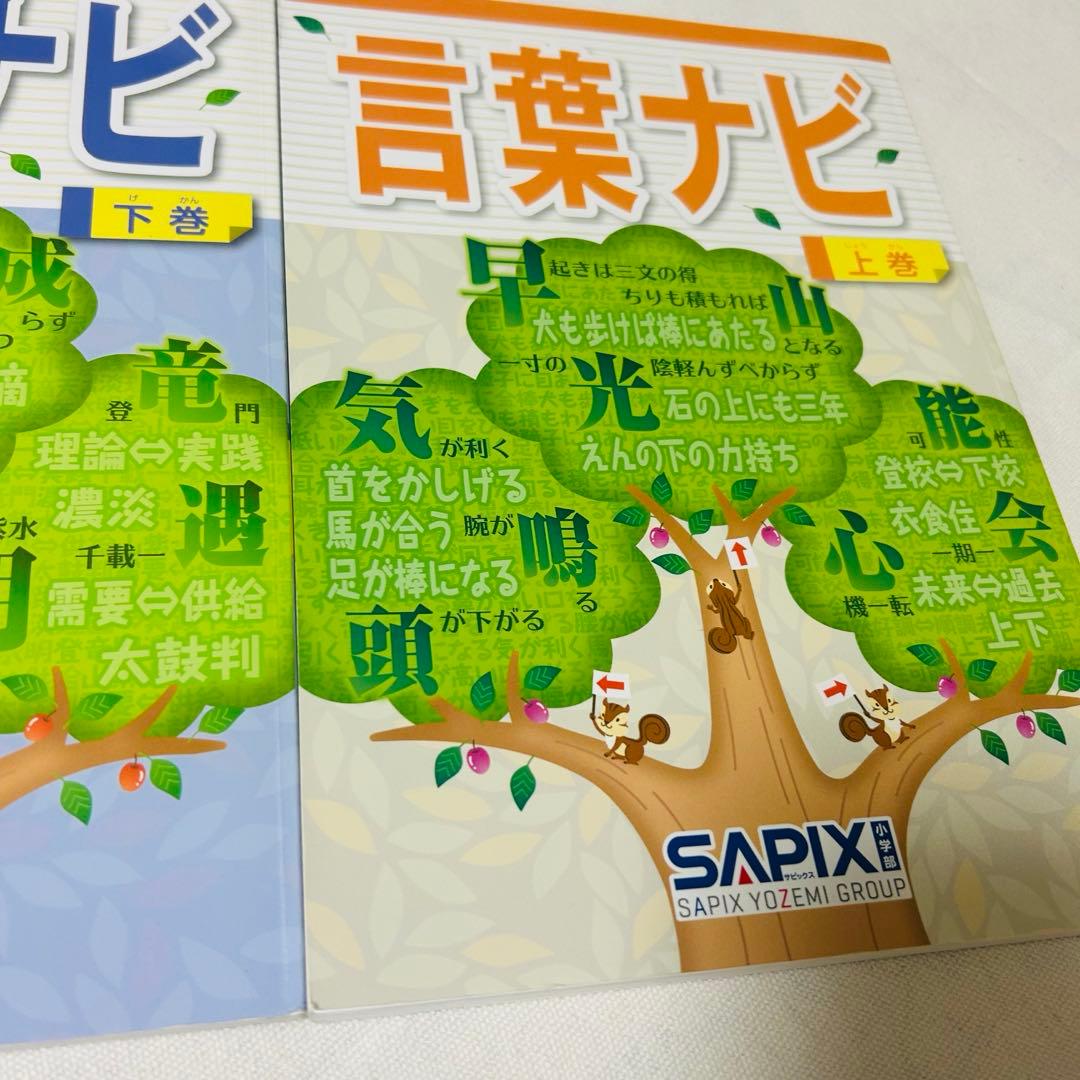 ⑳AA SAPIX 美品　サピックス　言葉ナビ　上巻　下巻　重要教材