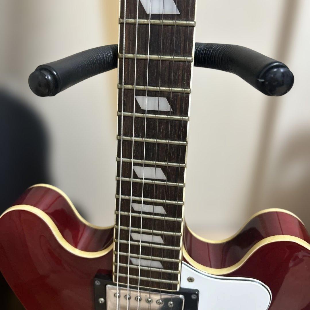 D*o様 Epiphone Noel Gallagher Riviera ノエル