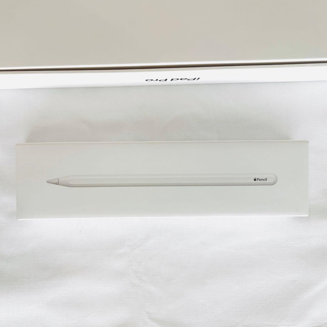 iPad Pro (第4世代) スペースグレー + Apple Pencil