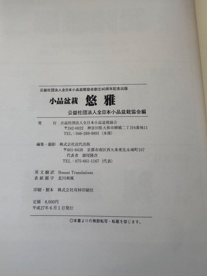 悠雅　商品盆栽　本