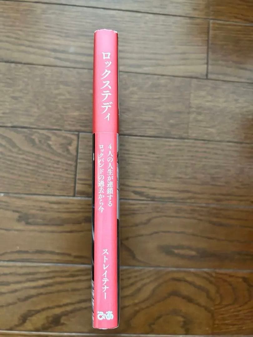 ストレイテナー ロックステディ、写真集　、パンフレット