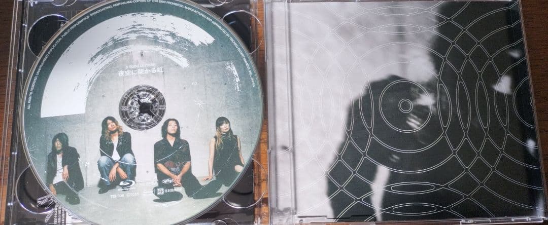 夜空に架かる虹 a flood of circleテイチクオンライン盤 即購入可