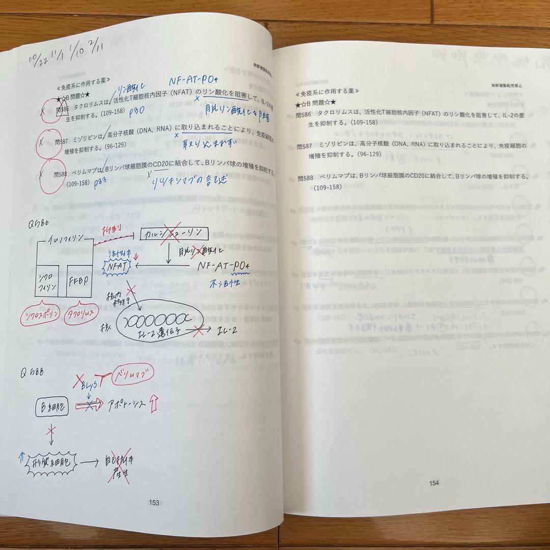 第111回薬剤師国家試験　薬ゼミ1年コース　弱点克服問題集(白問)+実践問題